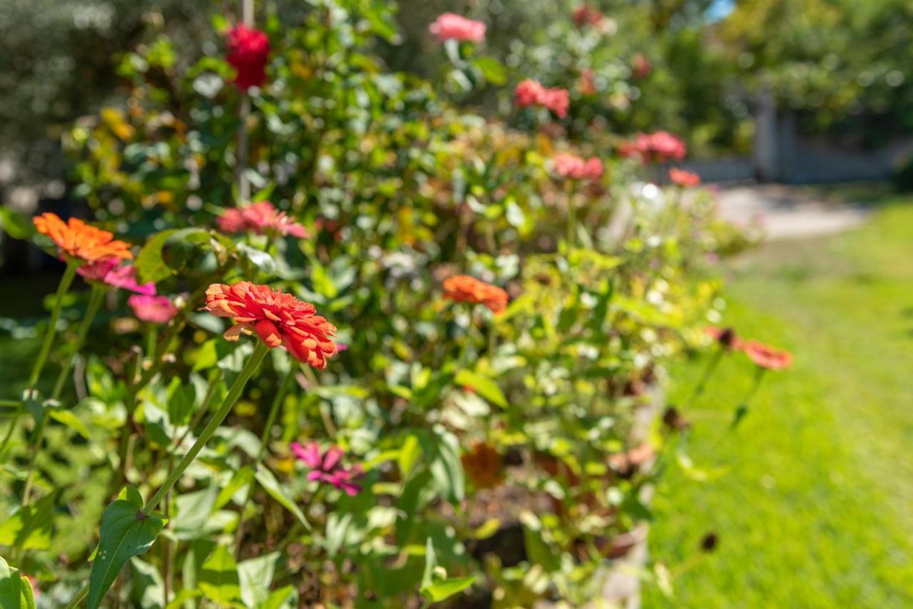 Ferienwohnung Blooming Memories Vourvourou Exterior foto