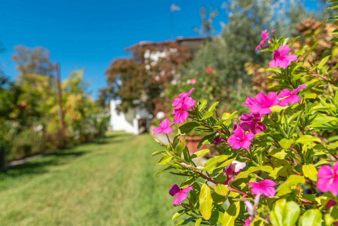 Ferienwohnung Blooming Memories Vourvourou Exterior foto